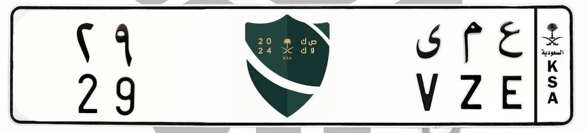 لوحة ع م ى 29